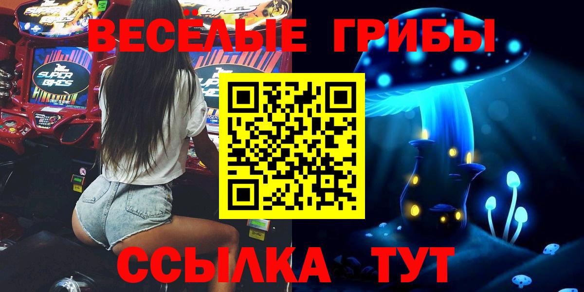 Псилоцибиновые грибы Cubensis  Вход с VPN  Гагарин 